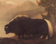 Yak George Stubbs